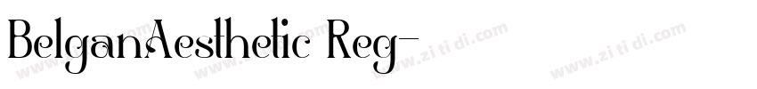 BelganAesthetic Reg字体转换